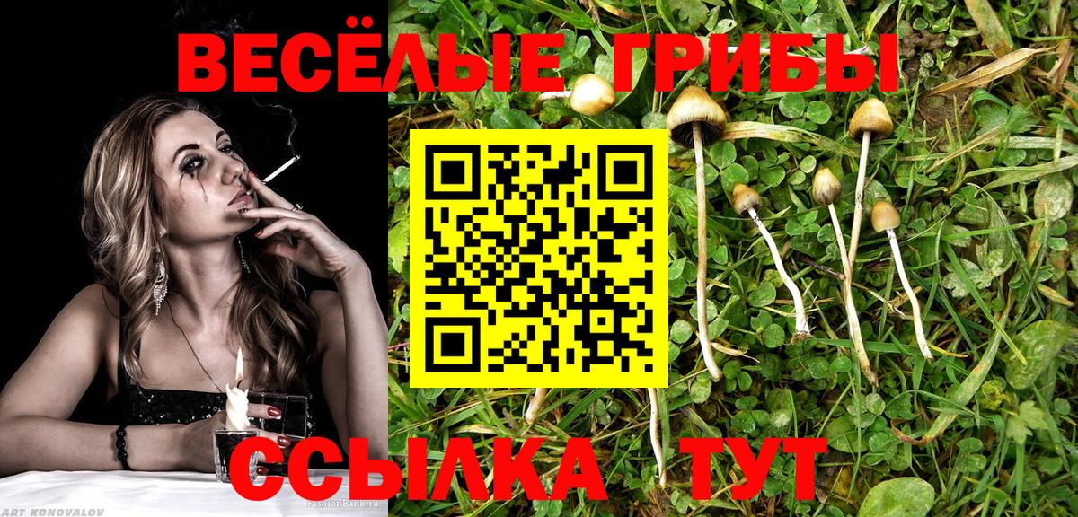 Дюртюли  Галлюциногенные грибы Psilocybe  Вход с VPN  Псилоцибиновые грибы GOLDEN TEACHER 